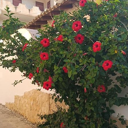 Al Faro Bed & Breakfast Realmonte Bagian luar foto