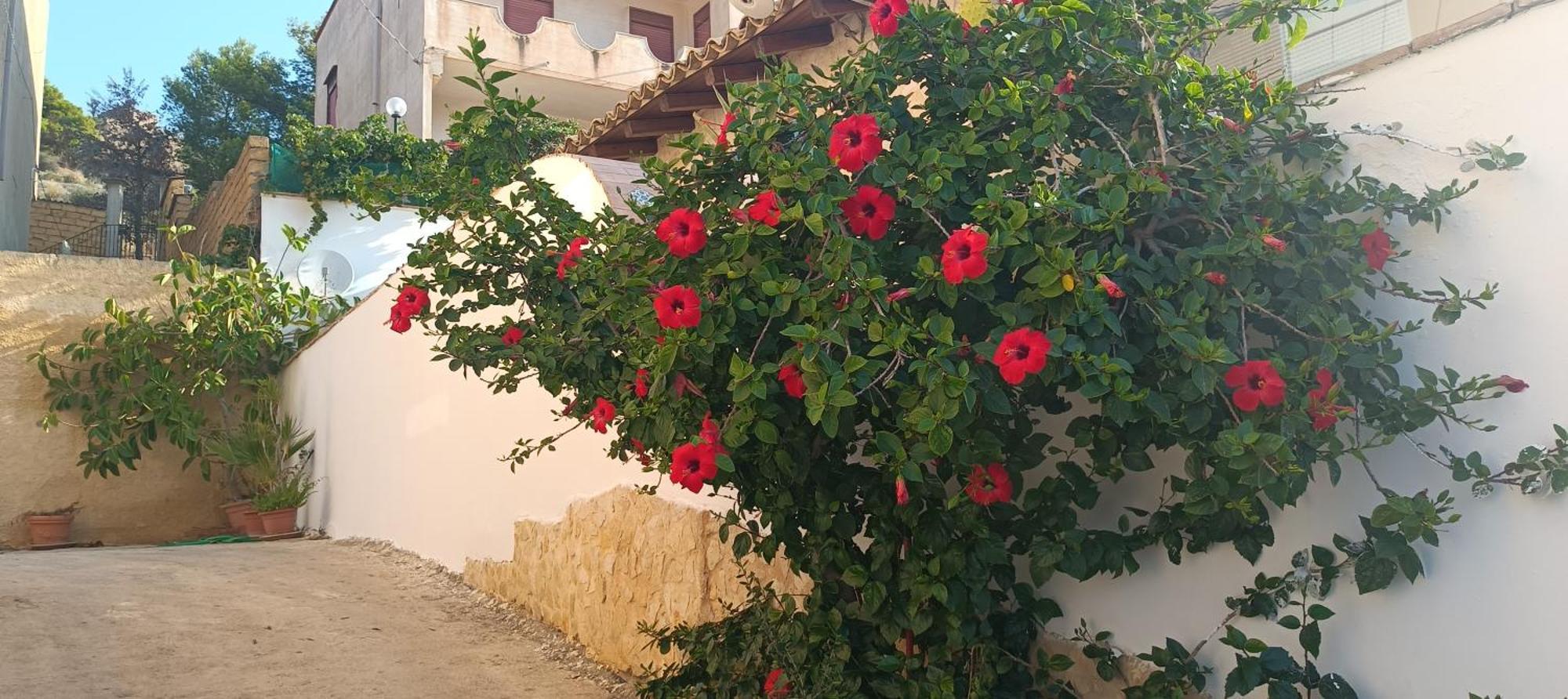 Al Faro Bed & Breakfast Realmonte Bagian luar foto